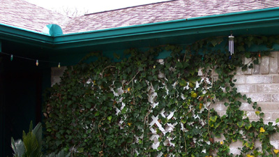 Roof line, fascia boards, and rain gutters; photo © 2014 KSmith Media, LLC